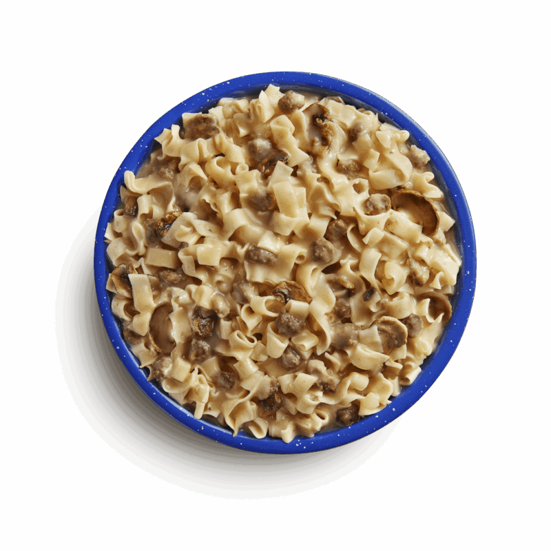 3255149_BEEF-STROGANOFF-WITH-NOODLES MOUNTAIN HOUSE #10 CAN