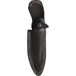 LionSTEEL T5