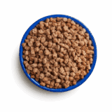 MOUNTAIN HOUSE #10 CAN