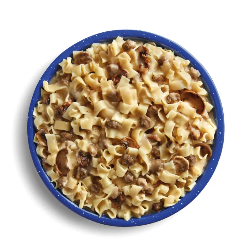Mountain House Beef Stroganoff with Noodles1 Mountain House Beef Stroganoff with Noodles