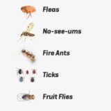 Natrapel 8 Hour Pump