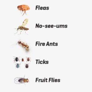 Natrapel 8 Hour Pump