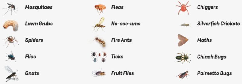 Natrapel 8 Hour Pump2 Natrapel 8 Hour Pump