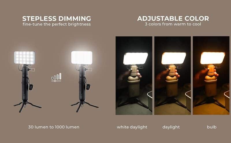 Nestout Flash-1a Nestout Flash-1