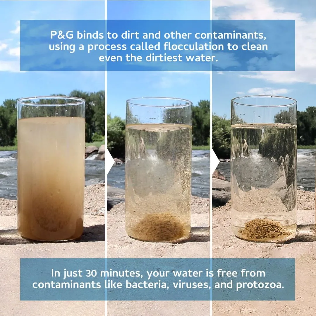 P&G Purifier of Water