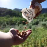 Peak Refuel Peanut Butter Chocolate Chip Cookie Bites