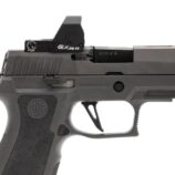 Primary Arms GLx RS-15