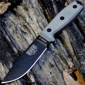 esee 4