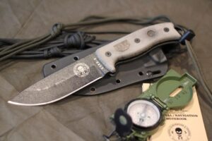 esee 5