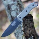 esee 5