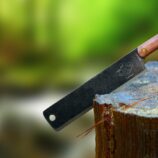 esee Libertariat