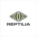 Reptilia