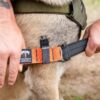 TacMed Solutions K9 Tourniquet