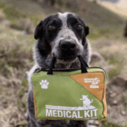 Adventure Dog Medical Kit with a Very Good Boy
